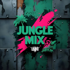 Jungle Mix (DJ Guari, Feid, Bad Bunny, Rauw Alejandro, Jowell & Randy, Rakim & Ken-Y, Arcangel)