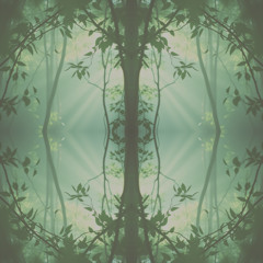 Silent Caravan – Caravane Silencieuse