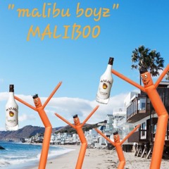 Malibu Boyz - Maliboo (Prod. By Malibu)