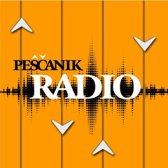 Srebrenica kao istorijska činjenica