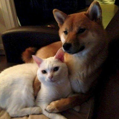 Khi Xưa Đi Đâu Cũng Có Nhau - Full AE - Nguyên Gió Tai Reup