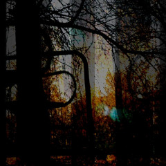 02 Jan - Overturning