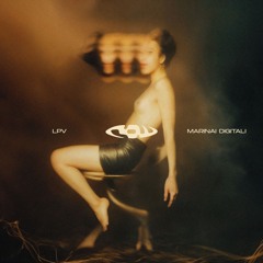 LPV - Marinai Digitali