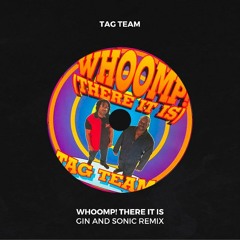 Tag Team - Whoomp! There It Is (Gin and Sonic Remix)