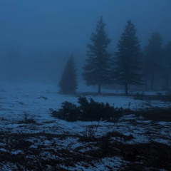 Winter Wind Nostalgia