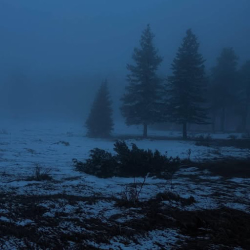 Winter Wind Nostalgia