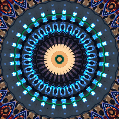 2021 Daily Explorations