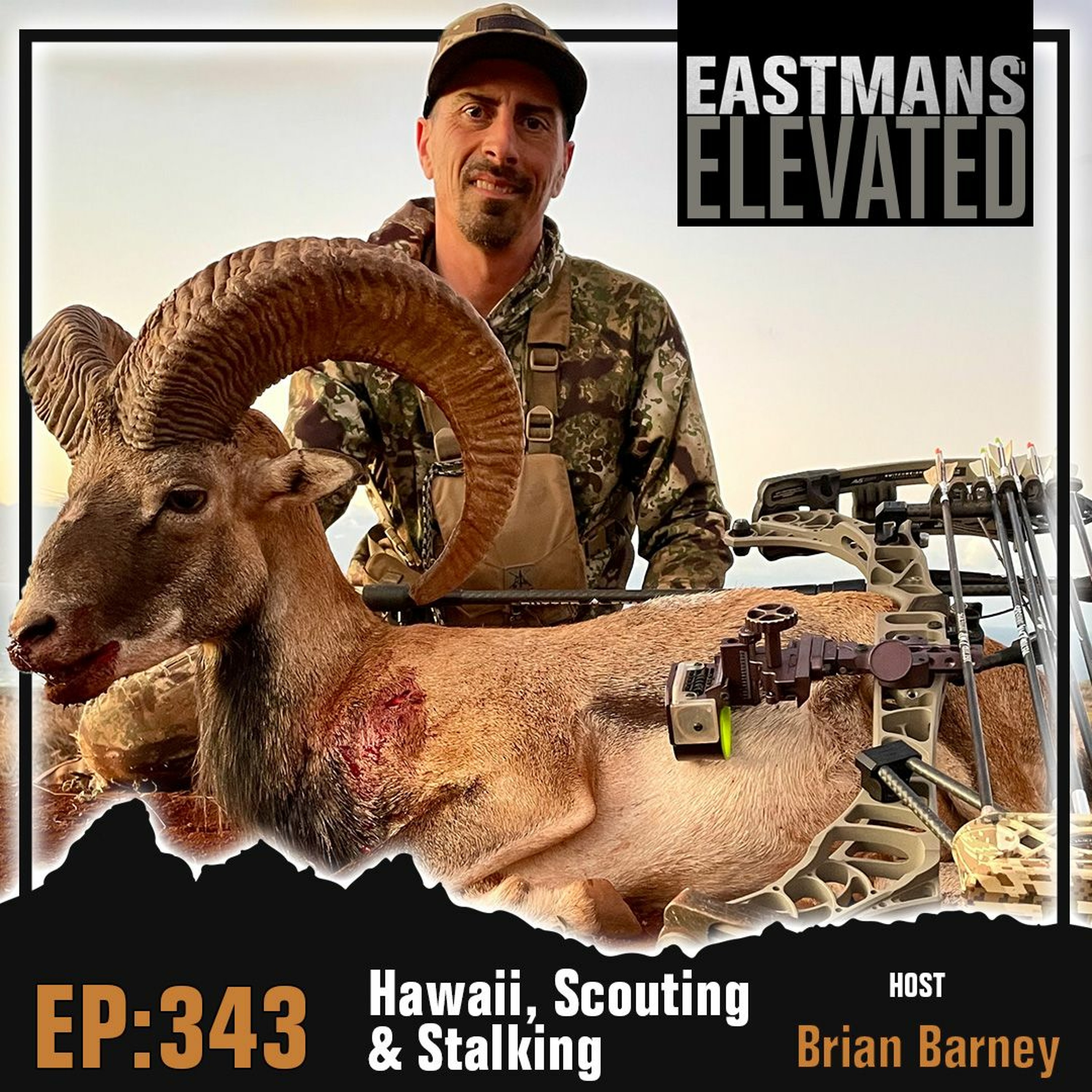 Episode 343:  Hawaii, Scouting and Stalking With Brian Barney