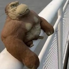 whodini freestyle p. @fountainofyouth