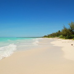 Simon X Simon - C'est les vacances