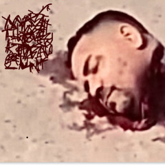 I Killed a Rapist in New Jersey