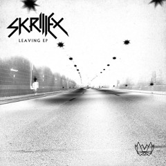 Skrillex - The Reason (Sola Flip)