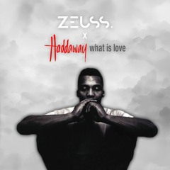 Haddaway - What Is Love (ZEUSS Remix) (pitched up for copyright)