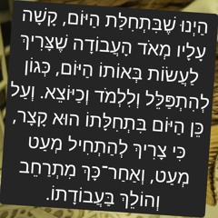 בוס זה בוס