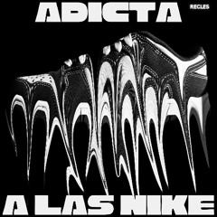 Adicta A Las Nike