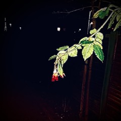 What Gives A Flower Color