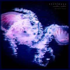 Somewhere Somehow - Stillness (Killian F. Remix)