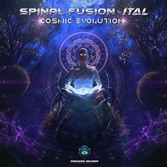 Spinal Fusion & Ital - Cosmic Evolution