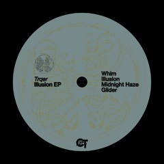 ANTIDOTE Premiere: Trqer - Whim [CASUALTUNES]