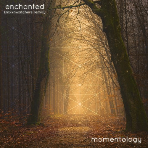 Enchanted (mxxnwatchers Remix) - Momentology