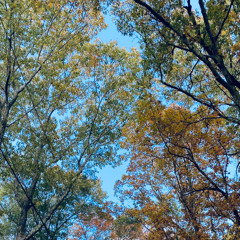 Cold Summers, Warm Winters