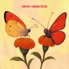 never came true