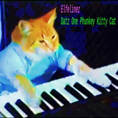 Datz One Phunkey Kitty Cat