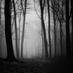 [Free DL] Cameron Stothard - You Were A Child