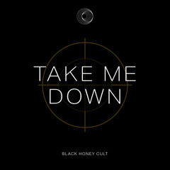Take Me Down