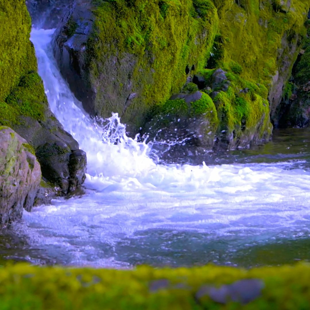 Stream Relaxing Sound of Water Flowing | Find Calm, Stress Relief