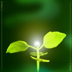 Symbiosis