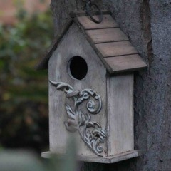 time goes quick, dont waste (feat. AVXiD)