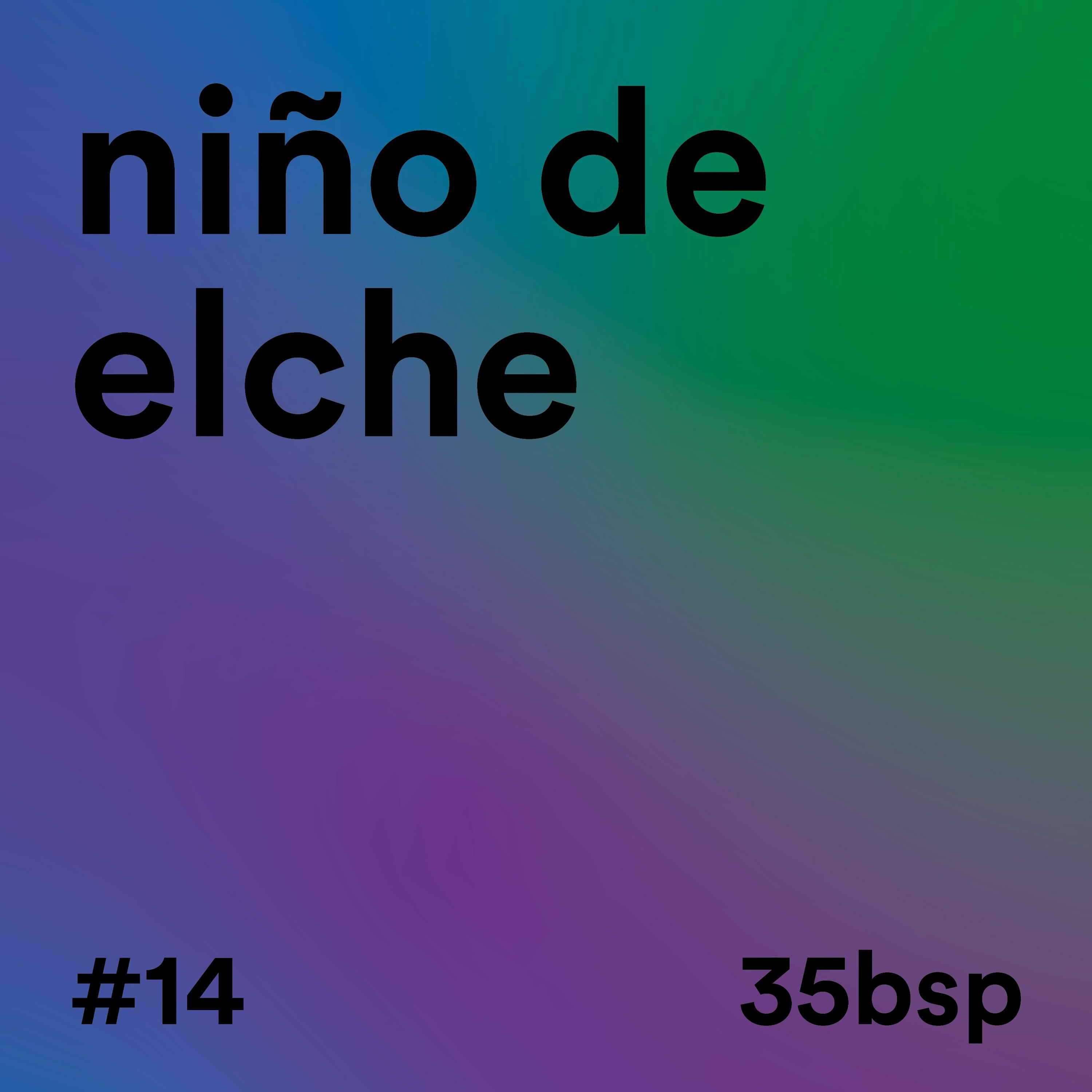 14 NIÑO DE ELCHE