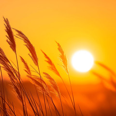 Warm and Breezy