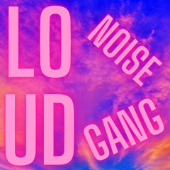 HAPPY NOISE GANG