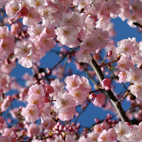 JAKOB CAN - TRANCY & BOUNCY SUNDAY MIX