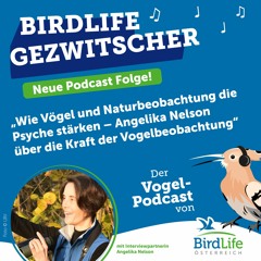 68. Special: Angelika Nelson über die Kraft der Vogelbeobachtung