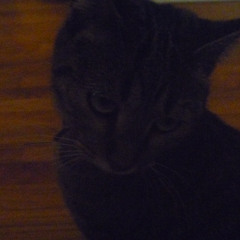 u can't see (tomorrow)