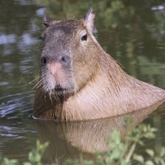 MORGENSHTERN - Е Банная (Right Version) Gachi Remix By Rat TV