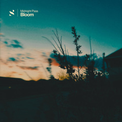 Bloom