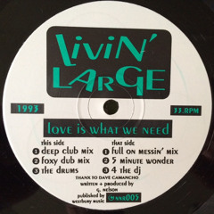 Livin Large - Love Is What We Need (Full On No Messin' Mix)