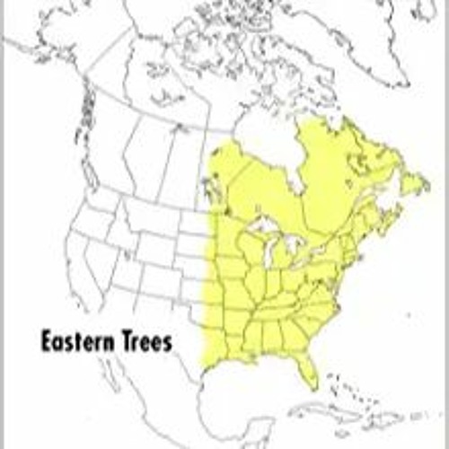 Stream READ DOWNLOAD= A Peterson Field Guide To Eastern Trees Eastern