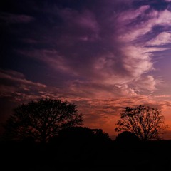 En Morado