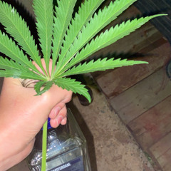 neighborhood hero remix (prod by diego)