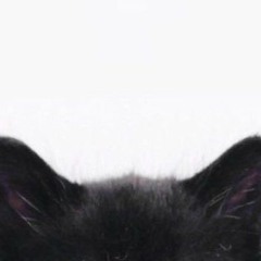 evay - dreeamin @fuukball