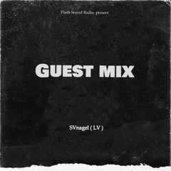 GUEST MIX by SVnagel ( LV )