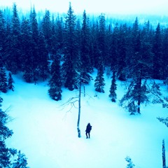 Snowfield