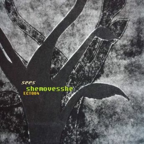 06 Shemovesshe - Sees