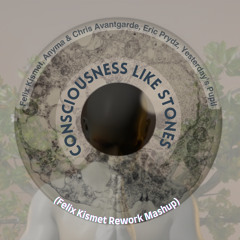 Consciousness Like Stones (Felix Kismet Rework Mashup)
