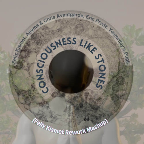 Consciousness Like Stones (Felix Kismet Rework Mashup)